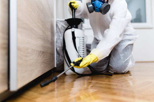 Best Pest Control Near Me in White Hall, WV