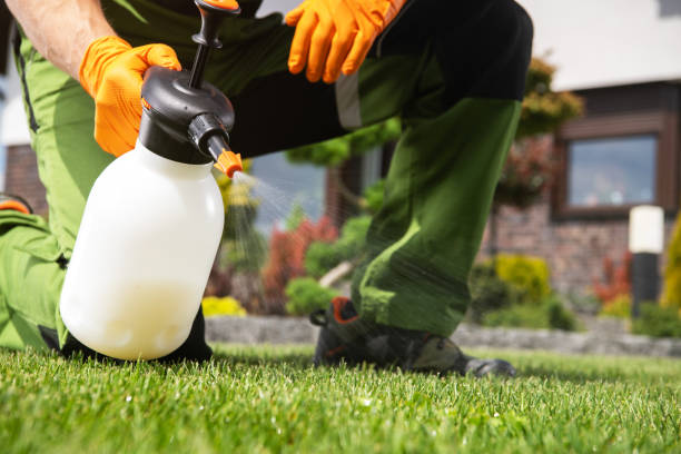 Best Best Pest Control Companies  in White Hall, WV