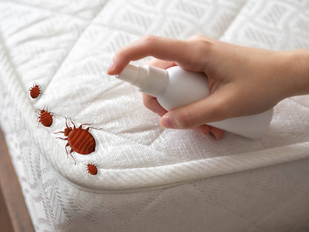 Best Emergency Pest Control  in White Hall, WV
