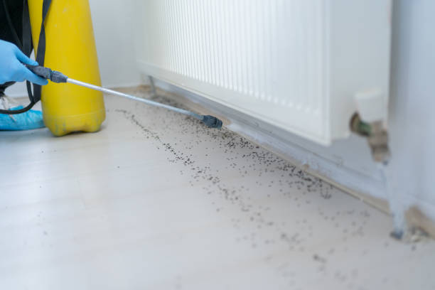 Best Pest Control Cost  in White Hall, WV
